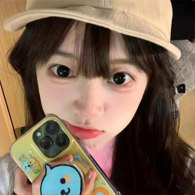 岁岁年年柿柿红